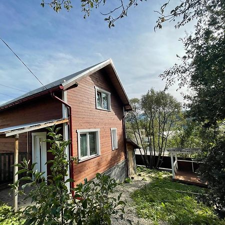 Карпатський Котедж Karpatian Cottage Vorochta Exteriör bild