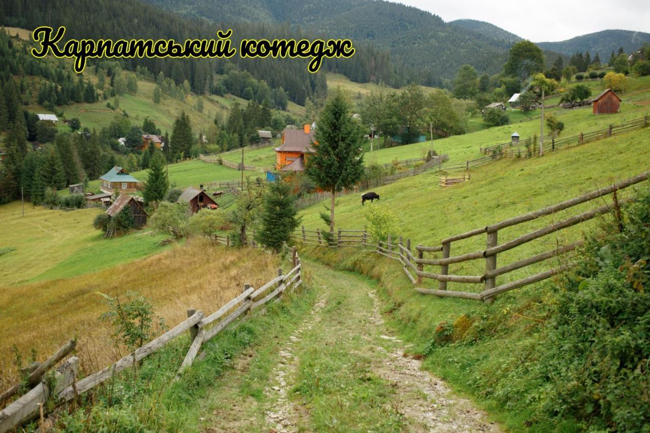 Карпатський Котедж Karpatian Cottage Vorochta Exteriör bild